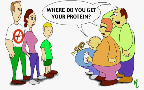 protein?